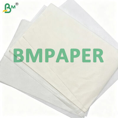 Papel para Wrap de Tortilla com Alta Resistência à Umidade, 25g/m² 30g/m² e Rolos de 36 polegadas