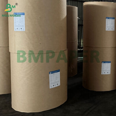 Heat Resistant Food Grade Nonstick Greaseproof Coated Silicone Parchment Paper Roll