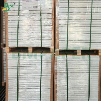 Folhas de Papel Carbono NCR 75gsm para Imagem Clara em Resma