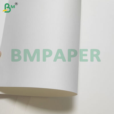 350gsm+15gsm PE Coated Cup Stock Paper Sheets Heat Resistant