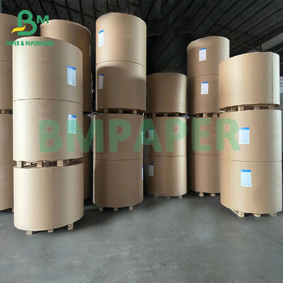 o único PE 180gsm + 18gsm lateral revestiu o papel branco do copo rola de papel
