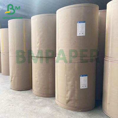 100 grs 200 grs Reciclável Grade Alimentar Bagasse Pulpa de papel branco
