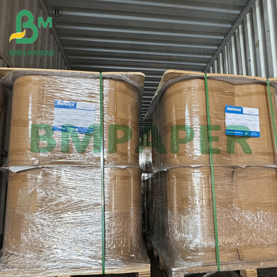 Rolo de Papel Filtro Marrom Grau Alimentício 50gsm Selável a Calor para Café