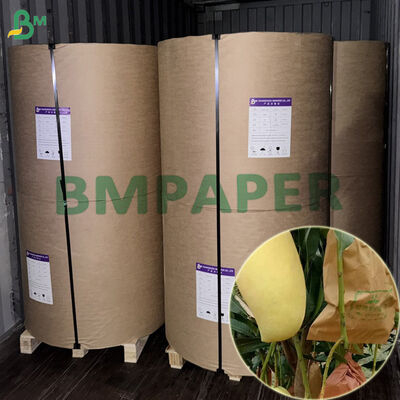 Papel de Embrulho para Proteção de Frutas Dupla Camada Impermeável 56gsm para Manga 450mm